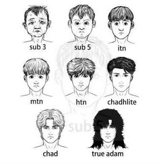 Forum chart of cartoon faces with made-up labels from below 3 up to a fictional ideal.